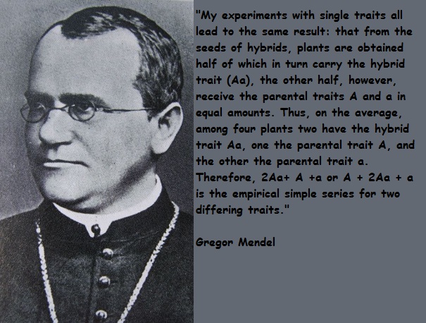 Famous Quotes - Gregor Mendel